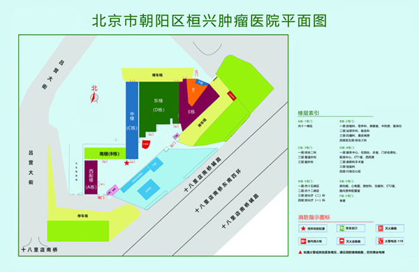 中年肥婆高潮喷水视频北京市朝阳区桓兴肿瘤医院平面图